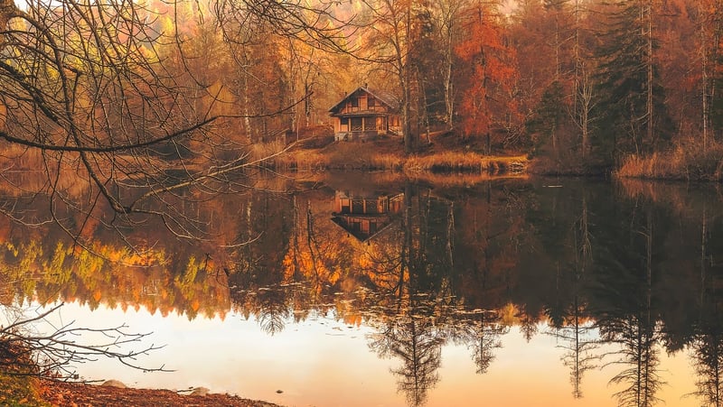 Mystic Woods Retreat