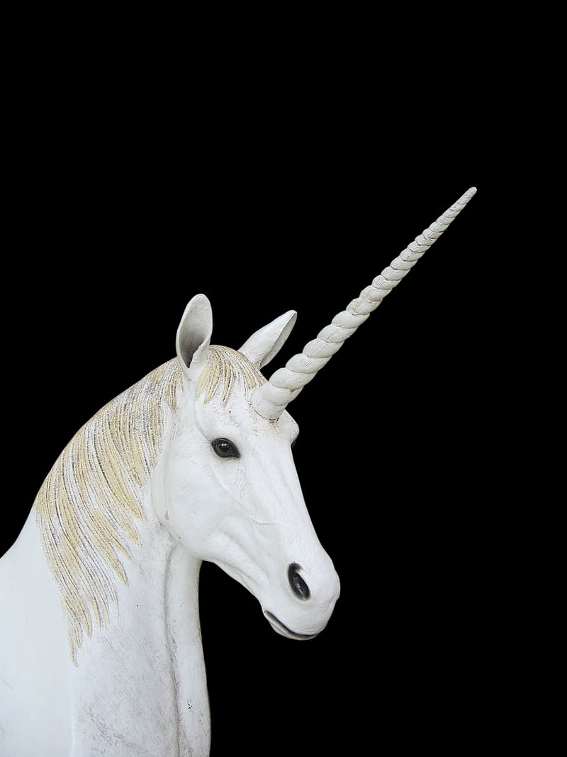 Unicorn Horn